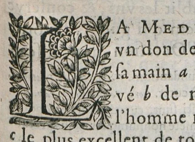 An illustration from La Methode d'Hippocrate est-elle la plus certaine, la plus seure, & la plus excellente de toutes à guarir les maladies ?, 1648, leaf 0