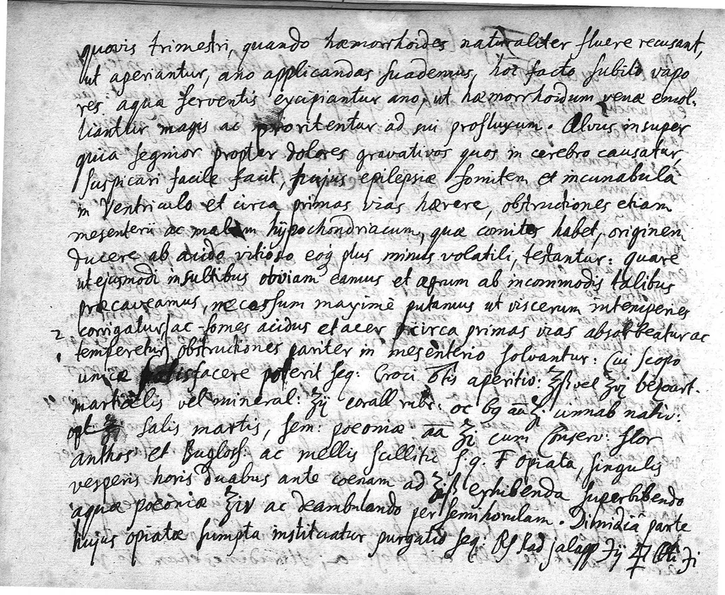 An illustration from Mélanges., 1686, leaf 126