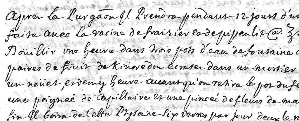 An illustration from Recueil de consultations médicales, 1695, leaf 181