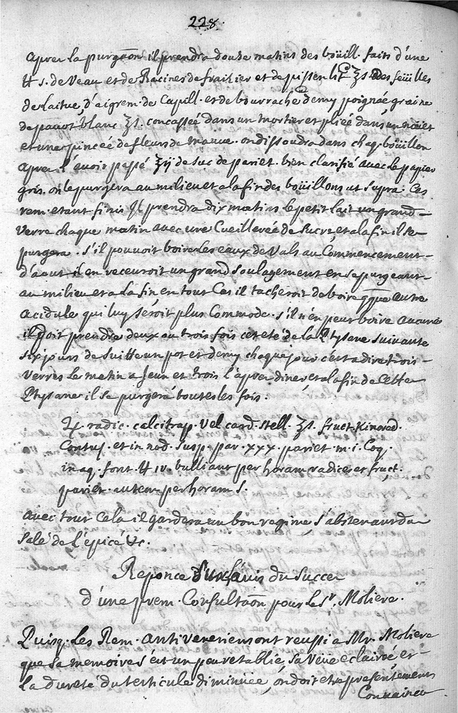 An illustration from Recueil de consultations médicales, 1695, leaf 229