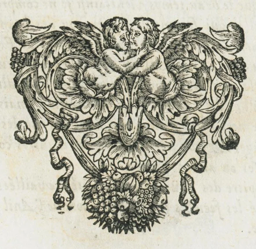 An illustration from Histoire générale des drogues, traitant des plantes, des animaux, & des mineraux ; ouvrage enrichy de plus de quatre cent figures en taille-douce tirées d'aprés nature ; avec un discours qui explique leurs differens noms, les pays d'où elles viennent, la maniere de connoître les veritables d'avec les falsifiées, & leurs proprietez, où l'on découvre l'erreur des anciens & des modernes...par le sieur Pierre Pomet...., 1694, leaf 173