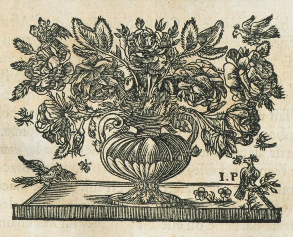 An illustration from Histoire générale des drogues, traitant des plantes, des animaux, & des mineraux ; ouvrage enrichy de plus de quatre cent figures en taille-douce tirées d'aprés nature ; avec un discours qui explique leurs differens noms, les pays d'où elles viennent, la maniere de connoître les veritables d'avec les falsifiées, & leurs proprietez, où l'on découvre l'erreur des anciens & des modernes...par le sieur Pierre Pomet...., 1694, leaf 312