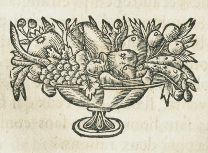 An illustration from Histoire générale des drogues, traitant des plantes, des animaux, & des mineraux ; ouvrage enrichy de plus de quatre cent figures en taille-douce tirées d'aprés nature ; avec un discours qui explique leurs differens noms, les pays d'où elles viennent, la maniere de connoître les veritables d'avec les falsifiées, & leurs proprietez, où l'on découvre l'erreur des anciens & des modernes...par le sieur Pierre Pomet...., 1694, leaf 362