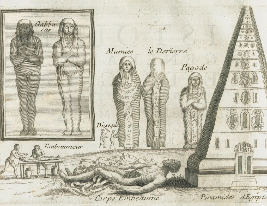 An illustration from Histoire générale des drogues, traitant des plantes, des animaux, & des mineraux ; ouvrage enrichy de plus de quatre cent figures en taille-douce tirées d'aprés nature ; avec un discours qui explique leurs differens noms, les pays d'où elles viennent, la maniere de connoître les veritables d'avec les falsifiées, & leurs proprietez, où l'on découvre l'erreur des anciens & des modernes...par le sieur Pierre Pomet...., 1694, leaf 374