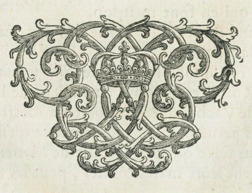 An illustration from Histoire générale des drogues, traitant des plantes, des animaux, & des mineraux ; ouvrage enrichy de plus de quatre cent figures en taille-douce tirées d'aprés nature ; avec un discours qui explique leurs differens noms, les pays d'où elles viennent, la maniere de connoître les veritables d'avec les falsifiées, & leurs proprietez, où l'on découvre l'erreur des anciens & des modernes...par le sieur Pierre Pomet...., 1694, leaf 42