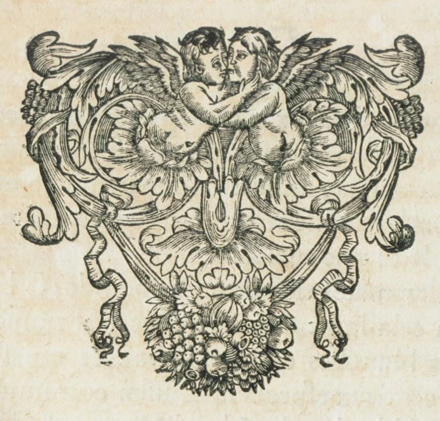 An illustration from Histoire générale des drogues, traitant des plantes, des animaux, & des mineraux ; ouvrage enrichy de plus de quatre cent figures en taille-douce tirées d'aprés nature ; avec un discours qui explique leurs differens noms, les pays d'où elles viennent, la maniere de connoître les veritables d'avec les falsifiées, & leurs proprietez, où l'on découvre l'erreur des anciens & des modernes...par le sieur Pierre Pomet...., 1694, leaf 480