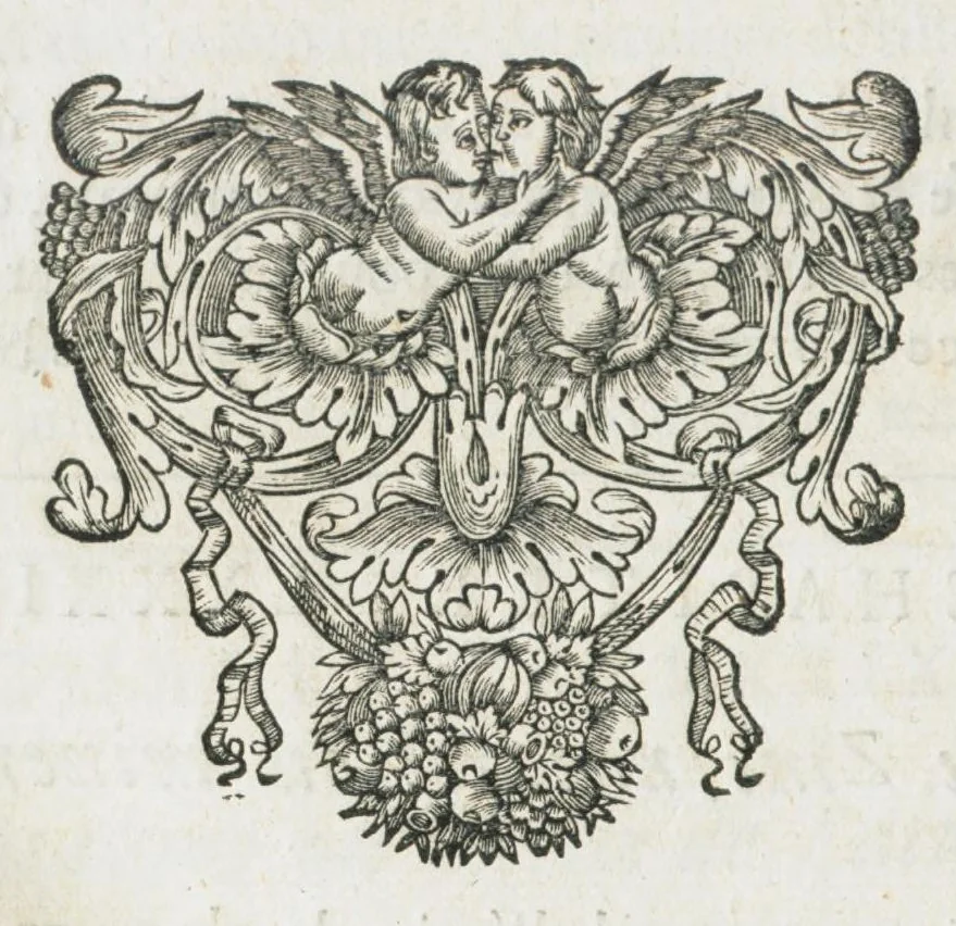An illustration from Histoire générale des drogues, traitant des plantes, des animaux, & des mineraux ; ouvrage enrichy de plus de quatre cent figures en taille-douce tirées d'aprés nature ; avec un discours qui explique leurs differens noms, les pays d'où elles viennent, la maniere de connoître les veritables d'avec les falsifiées, & leurs proprietez, où l'on découvre l'erreur des anciens & des modernes...par le sieur Pierre Pomet...., 1694, leaf 530