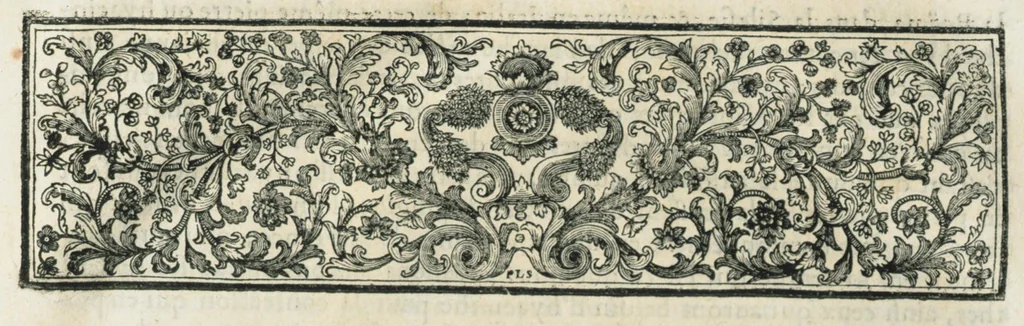 An illustration from Histoire générale des drogues, traitant des plantes, des animaux, & des mineraux ; ouvrage enrichy de plus de quatre cent figures en taille-douce tirées d'aprés nature ; avec un discours qui explique leurs differens noms, les pays d'où elles viennent, la maniere de connoître les veritables d'avec les falsifiées, & leurs proprietez, où l'on découvre l'erreur des anciens & des modernes...par le sieur Pierre Pomet...., 1694, leaf 577