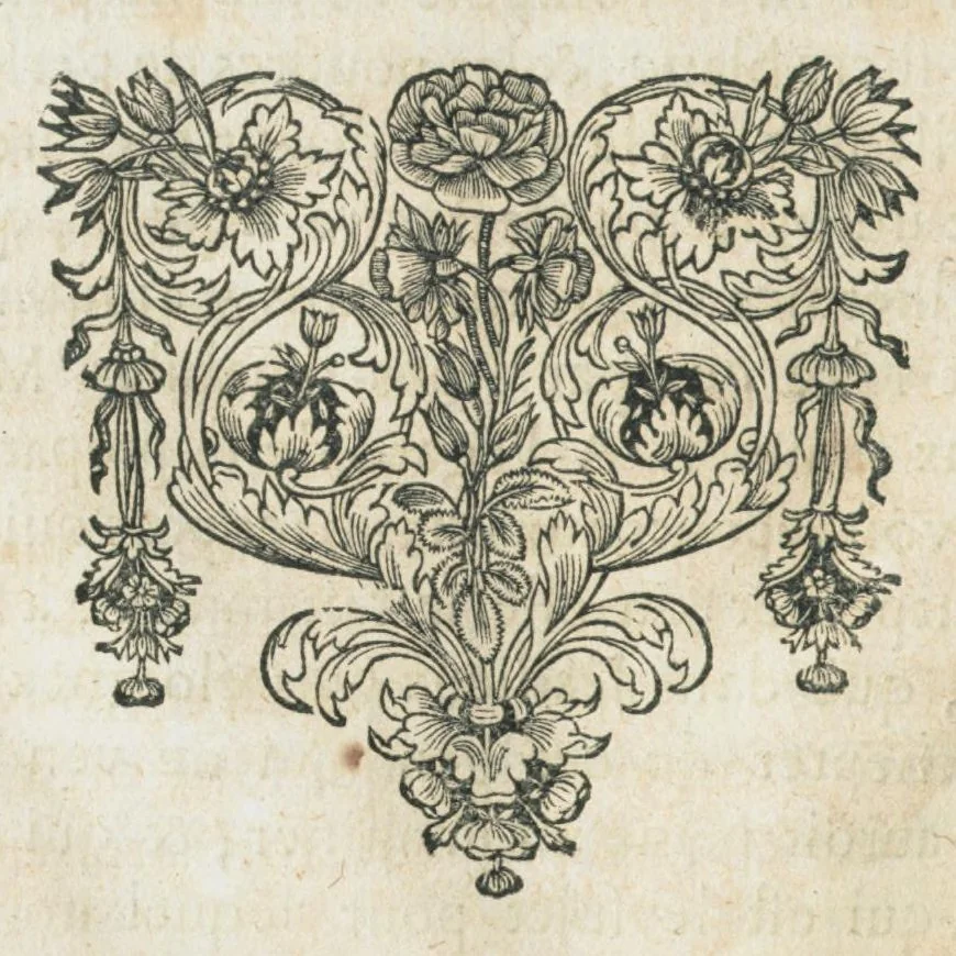 An illustration from Histoire générale des drogues, traitant des plantes, des animaux, & des mineraux ; ouvrage enrichy de plus de quatre cent figures en taille-douce tirées d'aprés nature ; avec un discours qui explique leurs differens noms, les pays d'où elles viennent, la maniere de connoître les veritables d'avec les falsifiées, & leurs proprietez, où l'on découvre l'erreur des anciens & des modernes...par le sieur Pierre Pomet...., 1694, leaf 74