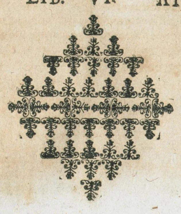 An illustration from Pharmacopoeia Galeno-chemica, catholica post Renodaeum, Quercetanum, aliosque huius generis celeberrimos itriusque medicinæ doctores practicos adornata selectissimisque medicamentorum compositionibus, experimentis, & observationibus spagyricus rarissimis & novis, nec non morborum omnium appropriatis remediis probatissimis adaucta accesserunt institutiones pharmaceuticæ methodo elegantissima præparandi pharmaca & doctrina de tota materia medica, cura Joannis Danielis Horstii archiatri Hassiaci., 1651, leaf 492