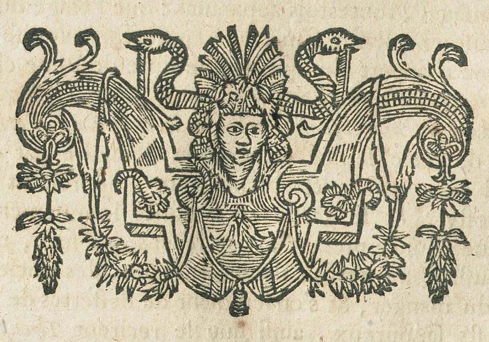 An illustration from Les Oeuvres de Jacques et Paul Contant pere et fils maistres apoticaires de la ville de Poictiers. Divisées en cinq traictez. 1. Les Commentaires sur Dioscoride. 2. Le Second Eden. 3. Exagoge mirabilium naturae è Gazophylacio. 4. Synopsis plantarum cum ethymologiis. 5. Le Jardin & Cabinet poëtique. Avec les figures des plantes en taille douce., 1628, leaf 206