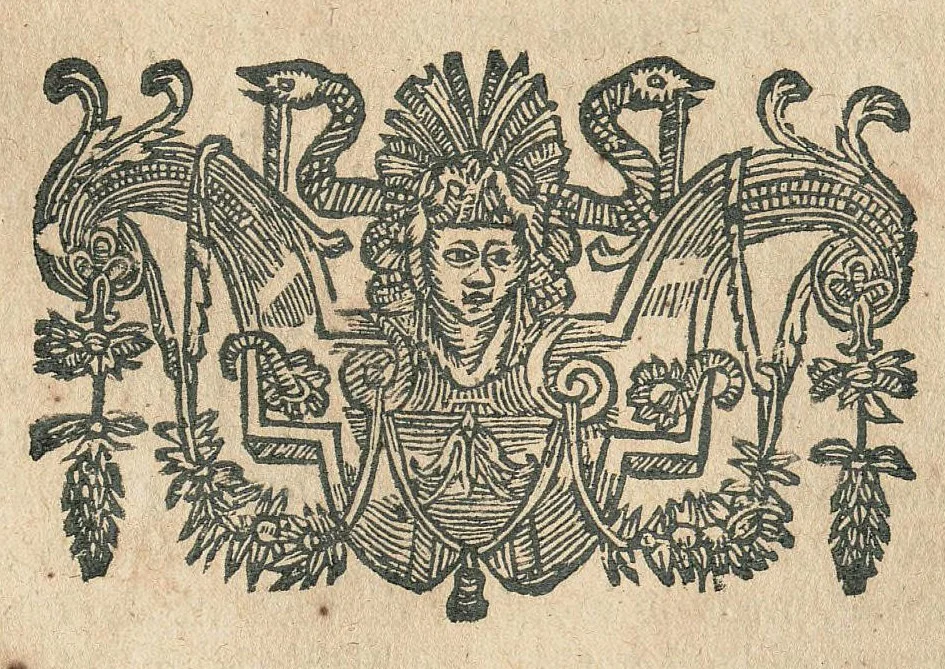 An illustration from Les Oeuvres de Jacques et Paul Contant pere et fils maistres apoticaires de la ville de Poictiers. Divisées en cinq traictez. 1. Les Commentaires sur Dioscoride. 2. Le Second Eden. 3. Exagoge mirabilium naturae è Gazophylacio. 4. Synopsis plantarum cum ethymologiis. 5. Le Jardin & Cabinet poëtique. Avec les figures des plantes en taille douce., 1628, leaf 229