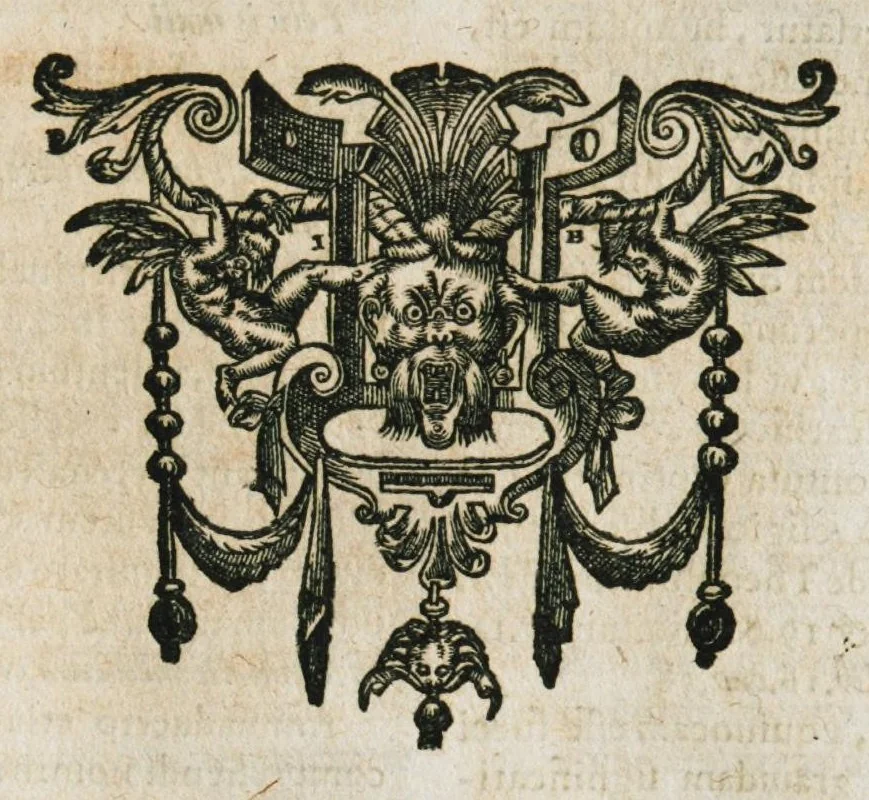 An illustration from Mineralogia, siue Naturalis philosophiae thesauri, in quibus metallicae concretionis medicatorÚmque fossilium miracula, terrarum pretium, colorum & pigmentorum apparatus, concretorum succorum virtus, lapidum atque gemmarum dignitas continentur. Hos publici iuris fecit R.P. Bernardus Caesius Mutinensis, è Societate Jesu. Proderit haec pretiosa supellex non philosophiae modò, ac medicinae, verùm etiam sacrae & humanioris literaturae studiosis., 1636, leaf 307