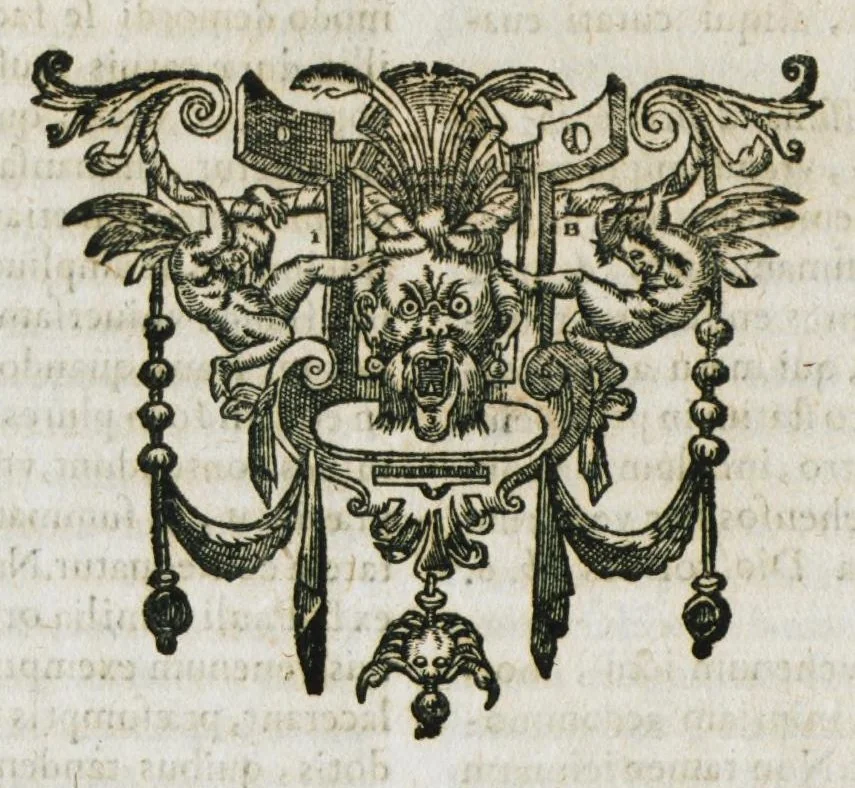 An illustration from Mineralogia, siue Naturalis philosophiae thesauri, in quibus metallicae concretionis medicatorÚmque fossilium miracula, terrarum pretium, colorum & pigmentorum apparatus, concretorum succorum virtus, lapidum atque gemmarum dignitas continentur. Hos publici iuris fecit R.P. Bernardus Caesius Mutinensis, è Societate Jesu. Proderit haec pretiosa supellex non philosophiae modò, ac medicinae, verùm etiam sacrae & humanioris literaturae studiosis., 1636, leaf 532