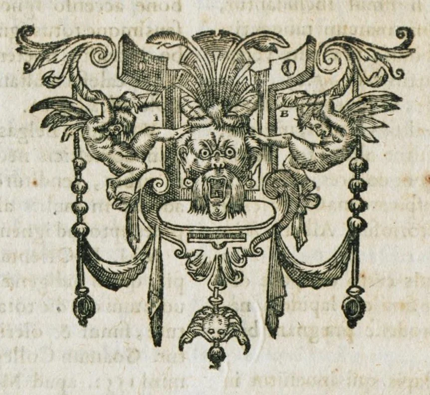 An illustration from Mineralogia, siue Naturalis philosophiae thesauri, in quibus metallicae concretionis medicatorÚmque fossilium miracula, terrarum pretium, colorum & pigmentorum apparatus, concretorum succorum virtus, lapidum atque gemmarum dignitas continentur. Hos publici iuris fecit R.P. Bernardus Caesius Mutinensis, è Societate Jesu. Proderit haec pretiosa supellex non philosophiae modò, ac medicinae, verùm etiam sacrae & humanioris literaturae studiosis., 1636, leaf 628
