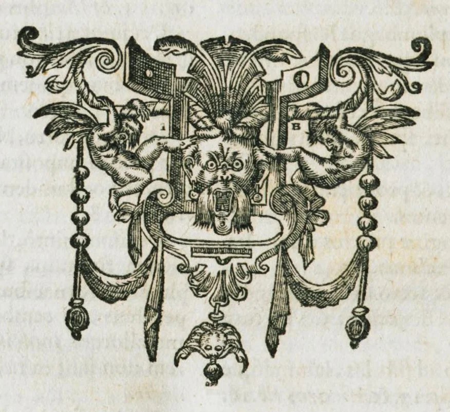 An illustration from Mineralogia, siue Naturalis philosophiae thesauri, in quibus metallicae concretionis medicatorÚmque fossilium miracula, terrarum pretium, colorum & pigmentorum apparatus, concretorum succorum virtus, lapidum atque gemmarum dignitas continentur. Hos publici iuris fecit R.P. Bernardus Caesius Mutinensis, è Societate Jesu. Proderit haec pretiosa supellex non philosophiae modò, ac medicinae, verùm etiam sacrae & humanioris literaturae studiosis., 1636, leaf 646