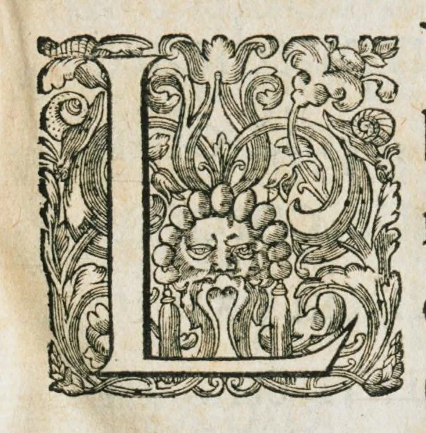 An illustration from Mineralogia, siue Naturalis philosophiae thesauri, in quibus metallicae concretionis medicatorÚmque fossilium miracula, terrarum pretium, colorum & pigmentorum apparatus, concretorum succorum virtus, lapidum atque gemmarum dignitas continentur. Hos publici iuris fecit R.P. Bernardus Caesius Mutinensis, è Societate Jesu. Proderit haec pretiosa supellex non philosophiae modò, ac medicinae, verùm etiam sacrae & humanioris literaturae studiosis., 1636, leaf 9