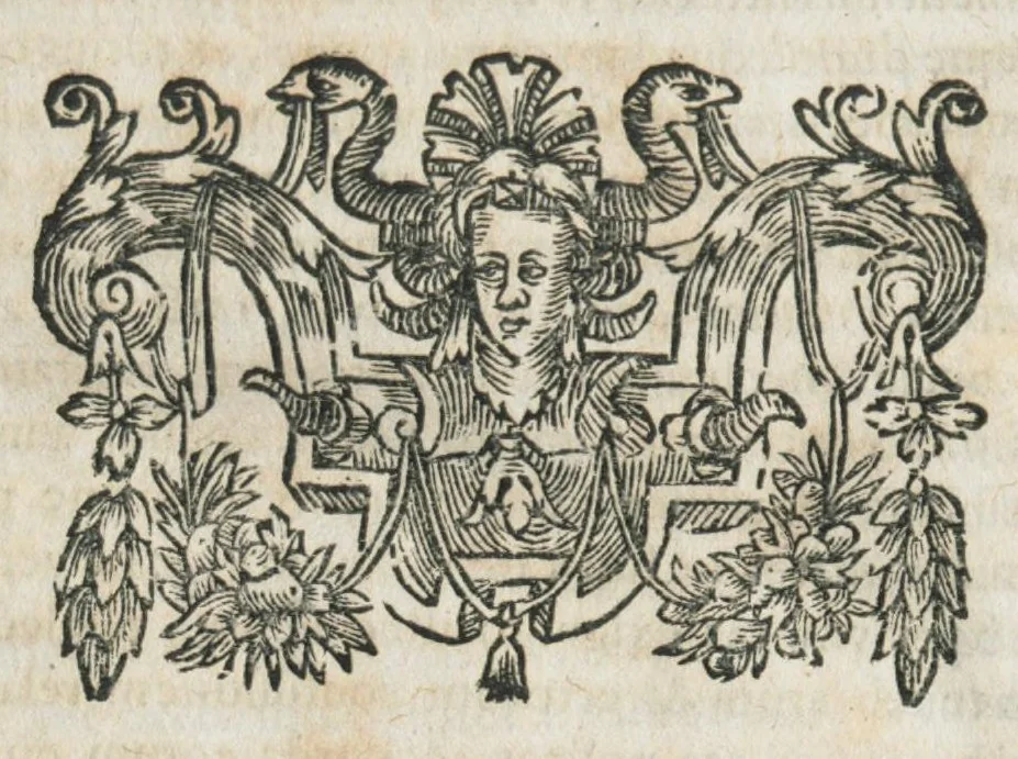 An illustration from Aur. Philip. Theoph. Paracelsi Bombast ab Hohenheim, medici et philosophi celeberrimi, chemicorúmque principis, opera omnia medico-chemico-chirurgica, tribus voluminibus comprehensa. Editio novissima et emendatissima, ad germanica & latina exemplaria accuratissimè collata : variis tractatibus & opusculis summâ hinc inde diligentiâ conquisitis, ut in voluminis primi præfatione indicatur, locupletata : indicibusque exactissimis instructa. Volumen primum, opera medica complectens., 1648, leaf 31