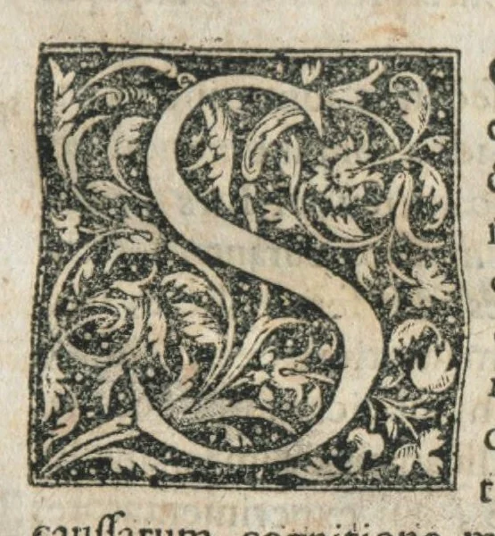An illustration from Aur. Philip. Theoph. Paracelsi Bombast ab Hohenheim, medici et philosophi celeberrimi, chemicorúmque principis, opera omnia medico-chemico-chirurgica, tribus voluminibus comprehensa. Editio novissima et emendatissima, ad germanica & latina exemplaria accuratissimè collata : variis tractatibus & opusculis summâ hinc inde diligentiâ conquisitis, ut in voluminis primi præfatione indicatur, locupletata : indicibusque exactissimis instructa. Volumen primum, opera medica complectens., 1648, leaf 41