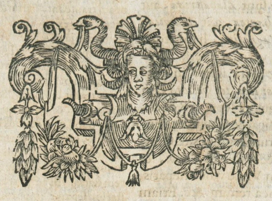 An illustration from Aur. Philip. Theoph. Paracelsi Bombast ab Hohenheim, medici et philosophi celeberrimi, chemicorúmque principis, opera omnia medico-chemico-chirurgica, tribus voluminibus comprehensa. Editio novissima et emendatissima, ad germanica & latina exemplaria accuratissimè collata : variis tractatibus & opusculis summâ hinc inde diligentiâ conquisitis, ut in voluminis primi præfatione indicatur, locupletata : indicibusque exactissimis instructa. Volumen primum, opera medica complectens., 1648, leaf 479
