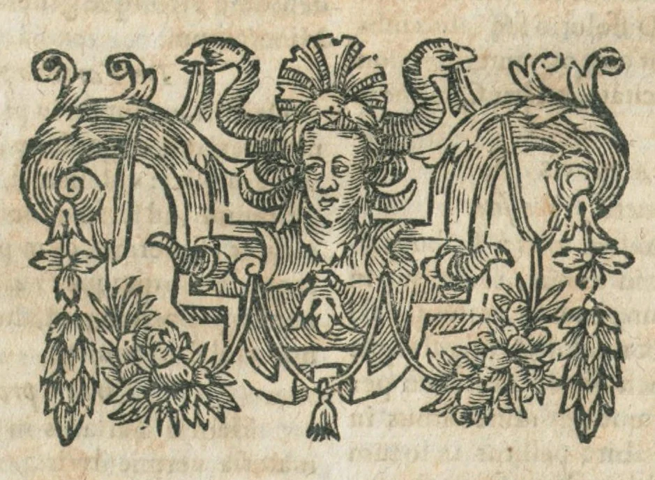 An illustration from Aur. Philip. Theoph. Paracelsi Bombast ab Hohenheim, medici et philosophi celeberrimi, chemicorúmque principis, opera omnia medico-chemico-chirurgica, tribus voluminibus comprehensa. Editio novissima et emendatissima, ad germanica & latina exemplaria accuratissimè collata : variis tractatibus & opusculis summâ hinc inde diligentiâ conquisitis, ut in voluminis primi præfatione indicatur, locupletata : indicibusque exactissimis instructa. Volumen primum, opera medica complectens., 1648, leaf 592