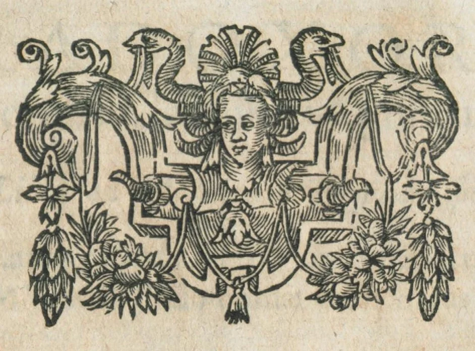 An illustration from Aur. Philip. Theoph. Paracelsi Bombast ab Hohenheim, medici et philosophi celeberrimi, chemicorúmque principis, opera omnia medico-chemico-chirurgica, tribus voluminibus comprehensa. Editio novissima et emendatissima, ad germanica & latina exemplaria accuratissimè collata : variis tractatibus & opusculis summâ hinc inde diligentiâ conquisitis, ut in voluminis primi præfatione indicatur, locupletata : indicibusque exactissimis instructa. Volumen primum, opera medica complectens., 1648, leaf 741
