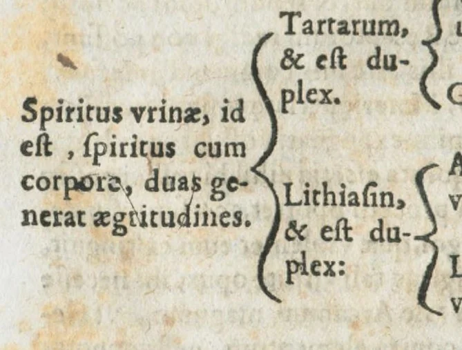 An illustration from Aur. Philip. Theoph. Paracelsi Bombast ab Hohenheim, medici et philosophi celeberrimi, chemicorúmque principis, opera omnia medico-chemico-chirurgica, tribus voluminibus comprehensa. Editio novissima et emendatissima, ad germanica & latina exemplaria accuratissimè collata : variis tractatibus & opusculis summâ hinc inde diligentiâ conquisitis, ut in voluminis primi præfatione indicatur, locupletata : indicibusque exactissimis instructa. Volumen primum, opera medica complectens., 1648, leaf 770