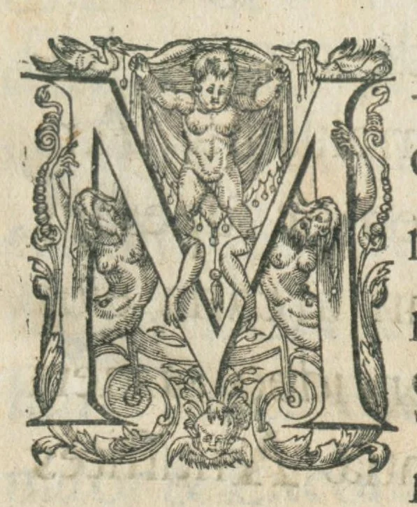 An illustration from Aur. Philip. Theoph. Paracelsi Bombast ab Hohenheim, medici et philosophi celeberrimi, chemicorúmque principis, opera omnia medico-chemico-chirurgica, tribus voluminibus comprehensa. Editio novissima et emendatissima, ad germanica & latina exemplaria accuratissimè collata : variis tractatibus & opusculis summâ hinc inde diligentiâ conquisitis, ut in voluminis primi præfatione indicatur, locupletata : indicibusque exactissimis instructa. Volumen primum, opera medica complectens., 1648, leaf 9