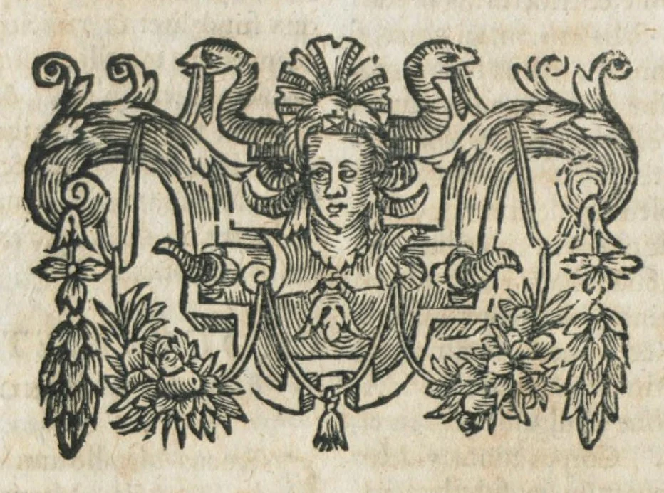 An illustration from Aureoli Philippi Theophrasti Paracelsi Bombast ab Hohenheim medici et philosophi celeberrimi, chemicorúmque principis, operum volumen secundum opera chimica et philosophica ..., 1648, leaf 172