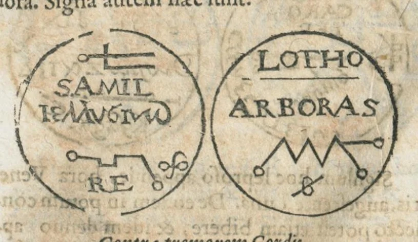 An illustration from Aureoli Philippi Theophrasti Paracelsi Bombast ab Hohenheim medici et philosophi celeberrimi, chemicorúmque principis, operum volumen secundum opera chimica et philosophica ..., 1648, leaf 734