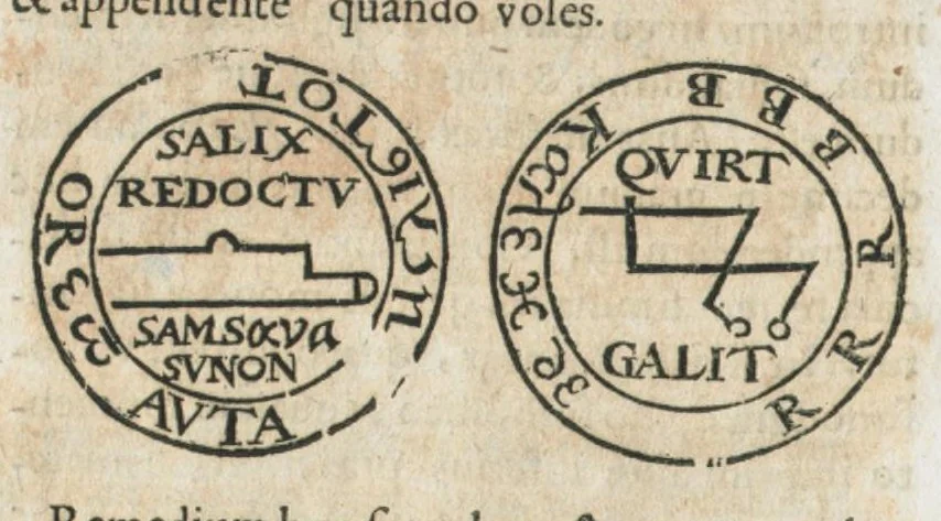 An illustration from Aureoli Philippi Theophrasti Paracelsi Bombast ab Hohenheim medici et philosophi celeberrimi, chemicorúmque principis, operum volumen secundum opera chimica et philosophica ..., 1648, leaf 736