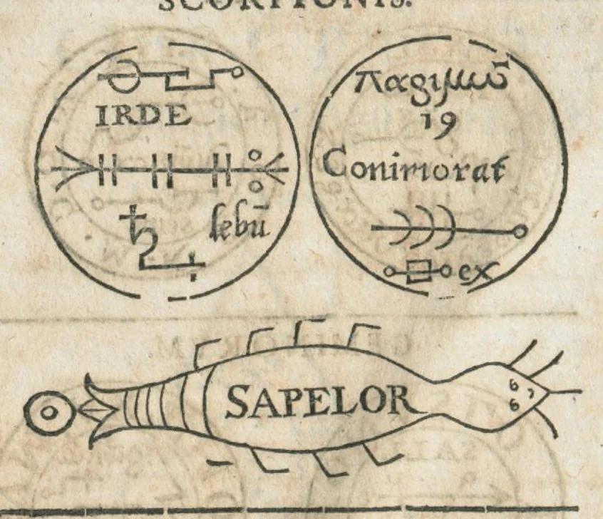 An illustration from Aureoli Philippi Theophrasti Paracelsi Bombast ab Hohenheim medici et philosophi celeberrimi, chemicorúmque principis, operum volumen secundum opera chimica et philosophica ..., 1648, leaf 742