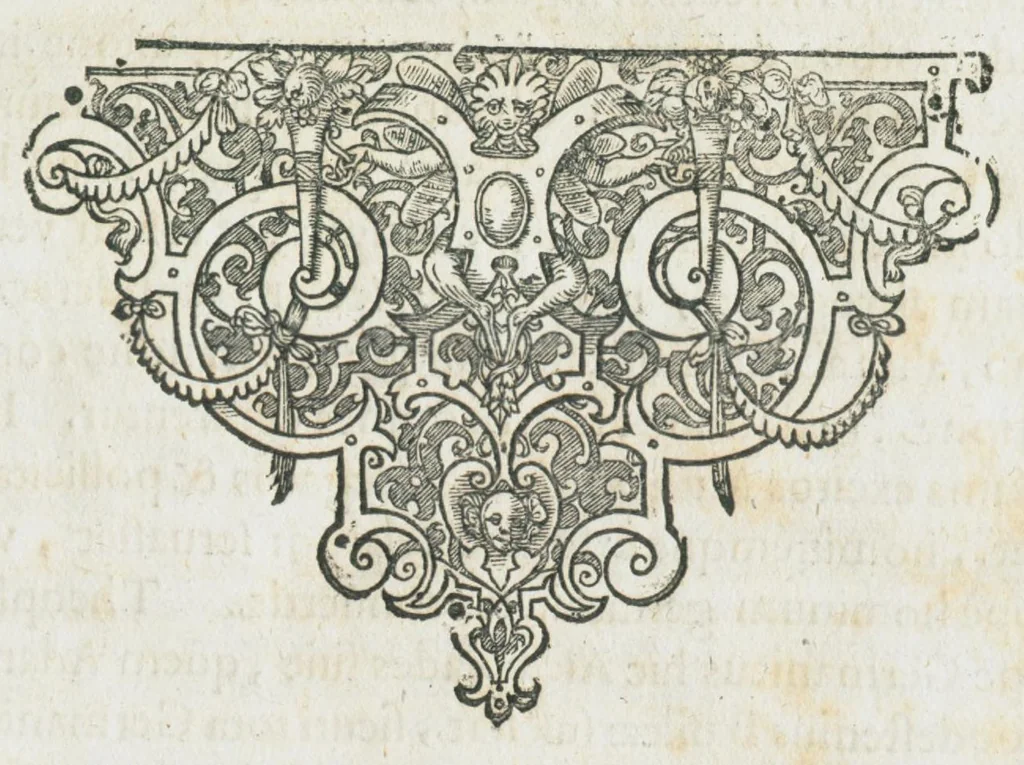 An illustration from Aur. Philip. Theoph. Paracelsi Bombast ab Hohenheim, medici et philosophi celeberrimi, chemicorúmque principis, operum volumen tertium, chirurgica opera complectens, duabus sectionibus distincta, quarum prior chirurgiam magnam, posterior verò Bertheoneam sive chirurgiam minorem cum libris adjectis continet. Extat in utramque præfatio, singulæ librorum elencho & indice generalibus sunt instructæ., 1648, leaf 19