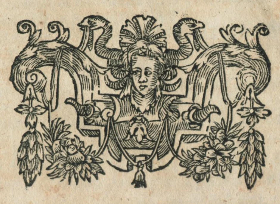 An illustration from Aur. Philip. Theoph. Paracelsi Bombast ab Hohenheim, medici et philosophi celeberrimi, chemicorúmque principis, operum volumen tertium, chirurgica opera complectens, duabus sectionibus distincta, quarum prior chirurgiam magnam, posterior verò Bertheoneam sive chirurgiam minorem cum libris adjectis continet. Extat in utramque præfatio, singulæ librorum elencho & indice generalibus sunt instructæ., 1648, leaf 391