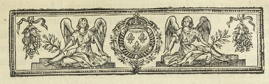 An illustration from Statuts de la Faculté de medecine en l'Université de Paris, avec les pieces justificatives de ses privileges & ses droits & soûmissions à elle deubs par les apothicaires & chirurgiens. Ensemble les jugemens rendus contre les empiriques & les medecins non approuvez par ladite Faculté de medecine, & les reglemens pour la reception des apothicaire & chirurgiens, & pour la visite des boutiques & drogues et compositions de medicamens. Ce recüeil fait & mis en ordre par maistre Denis Puylon, docteur-regent & doyen de ladite Faculté, & imprimez suivant le decret d'icelle du 19. mars 1672., 1672, leaf 215