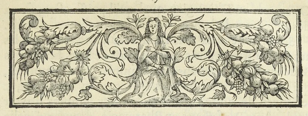 An illustration from Statuts de la Faculté de medecine en l'Université de Paris, avec les pieces justificatives de ses privileges & ses droits & soûmissions à elle deubs par les apothicaires & chirurgiens. Ensemble les jugemens rendus contre les empiriques & les medecins non approuvez par ladite Faculté de medecine, & les reglemens pour la reception des apothicaire & chirurgiens, & pour la visite des boutiques & drogues et compositions de medicamens. Ce recüeil fait & mis en ordre par maistre Denis Puylon, docteur-regent & doyen de ladite Faculté, & imprimez suivant le decret d'icelle du 19. mars 1672., 1672, leaf 291