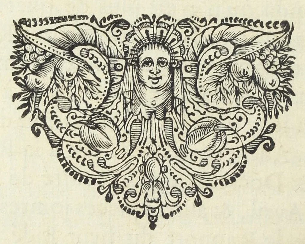 An illustration from Statuts de la Faculté de medecine en l'Université de Paris, avec les pieces justificatives de ses privileges & ses droits & soûmissions à elle deubs par les apothicaires & chirurgiens. Ensemble les jugemens rendus contre les empiriques & les medecins non approuvez par ladite Faculté de medecine, & les reglemens pour la reception des apothicaire & chirurgiens, & pour la visite des boutiques & drogues et compositions de medicamens. Ce recüeil fait & mis en ordre par maistre Denis Puylon, docteur-regent & doyen de ladite Faculté, & imprimez suivant le decret d'icelle du 19. mars 1672., 1672, leaf 310