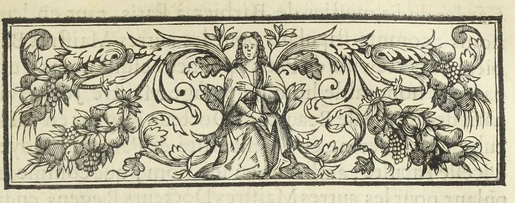 An illustration from Statuts de la Faculté de medecine en l'Université de Paris, avec les pieces justificatives de ses privileges & ses droits & soûmissions à elle deubs par les apothicaires & chirurgiens. Ensemble les jugemens rendus contre les empiriques & les medecins non approuvez par ladite Faculté de medecine, & les reglemens pour la reception des apothicaire & chirurgiens, & pour la visite des boutiques & drogues et compositions de medicamens. Ce recüeil fait & mis en ordre par maistre Denis Puylon, docteur-regent & doyen de ladite Faculté, & imprimez suivant le decret d'icelle du 19. mars 1672., 1672, leaf 315