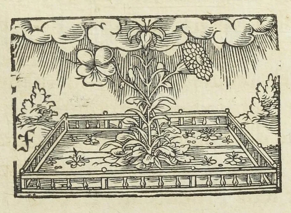 An illustration from Statuts de la Faculté de medecine en l'Université de Paris, avec les pieces justificatives de ses privileges & ses droits & soûmissions à elle deubs par les apothicaires & chirurgiens. Ensemble les jugemens rendus contre les empiriques & les medecins non approuvez par ladite Faculté de medecine, & les reglemens pour la reception des apothicaire & chirurgiens, & pour la visite des boutiques & drogues et compositions de medicamens. Ce recüeil fait & mis en ordre par maistre Denis Puylon, docteur-regent & doyen de ladite Faculté, & imprimez suivant le decret d'icelle du 19. mars 1672., 1672, leaf 471