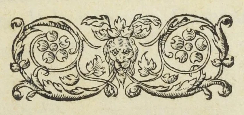 An illustration from Statuts de la Faculté de medecine en l'Université de Paris, avec les pieces justificatives de ses privileges & ses droits & soûmissions à elle deubs par les apothicaires & chirurgiens. Ensemble les jugemens rendus contre les empiriques & les medecins non approuvez par ladite Faculté de medecine, & les reglemens pour la reception des apothicaire & chirurgiens, & pour la visite des boutiques & drogues et compositions de medicamens. Ce recüeil fait & mis en ordre par maistre Denis Puylon, docteur-regent & doyen de ladite Faculté, & imprimez suivant le decret d'icelle du 19. mars 1672., 1672, leaf 5
