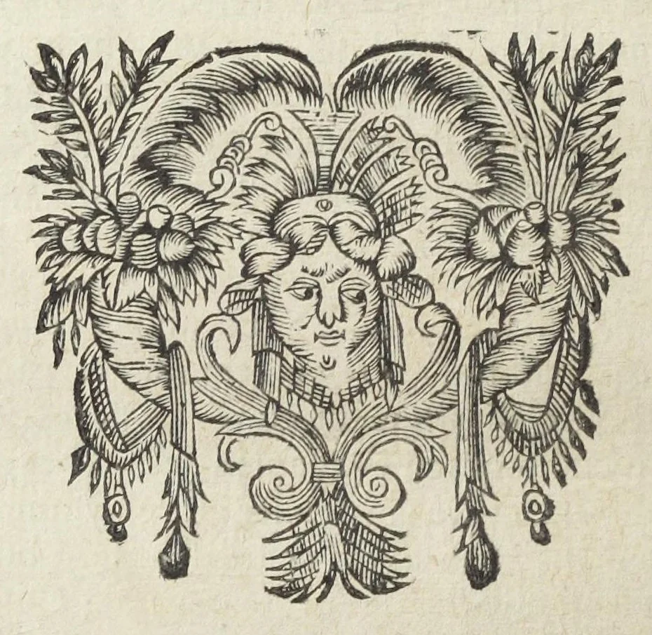 An illustration from La pharmacie theorique, nouvellement recueillie de divers autheurs, par N. Chesneau Marseillois, docteur en medecine. Utile non seulement aux apoticaires ; mais aussi aux medecins, & à tous ceux qui voudront sçavoir les fondemens, & les vrayes maximes de cét art. Seconde edition. Reveuë, corrigée & augmentée par l'autheur, d'un Traité des remedes chimiques., 1670, leaf 102