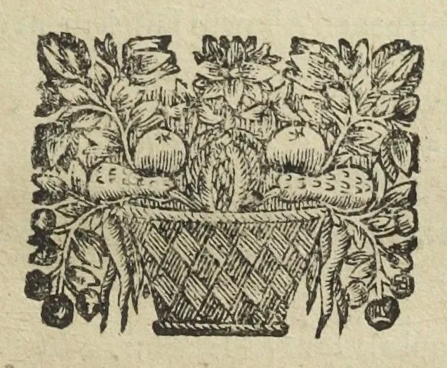 An illustration from La pharmacie theorique, nouvellement recueillie de divers autheurs, par N. Chesneau Marseillois, docteur en medecine. Utile non seulement aux apoticaires ; mais aussi aux medecins, & à tous ceux qui voudront sçavoir les fondemens, & les vrayes maximes de cét art. Seconde edition. Reveuë, corrigée & augmentée par l'autheur, d'un Traité des remedes chimiques., 1670, leaf 17