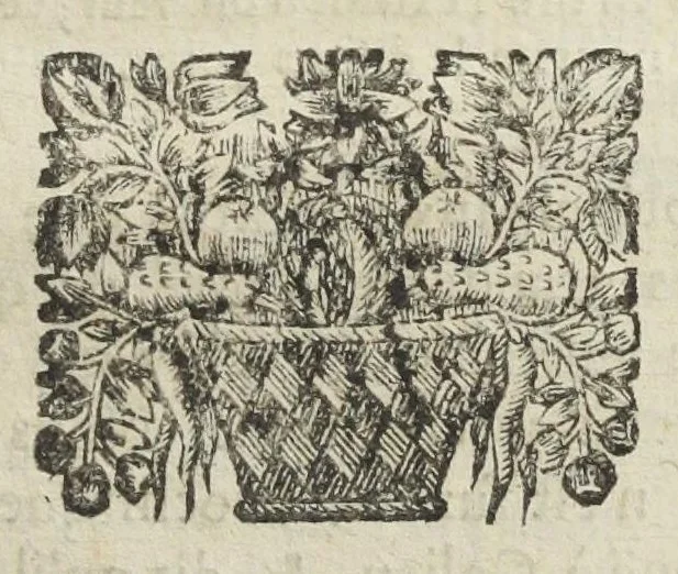 An illustration from La pharmacie theorique, nouvellement recueillie de divers autheurs, par N. Chesneau Marseillois, docteur en medecine. Utile non seulement aux apoticaires ; mais aussi aux medecins, & à tous ceux qui voudront sçavoir les fondemens, & les vrayes maximes de cét art. Seconde edition. Reveuë, corrigée & augmentée par l'autheur, d'un Traité des remedes chimiques., 1670, leaf 247
