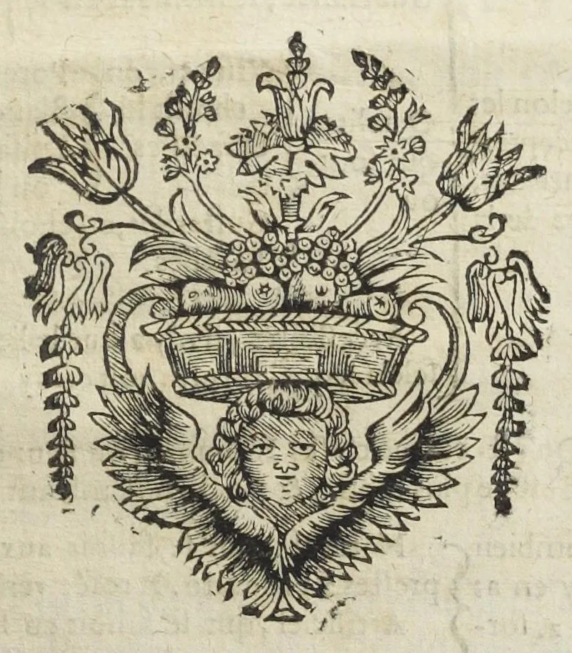 An illustration from La pharmacie theorique, nouvellement recueillie de divers autheurs, par N. Chesneau Marseillois, docteur en medecine. Utile non seulement aux apoticaires ; mais aussi aux medecins, & à tous ceux qui voudront sçavoir les fondemens, & les vrayes maximes de cét art. Seconde edition. Reveuë, corrigée & augmentée par l'autheur, d'un Traité des remedes chimiques., 1670, leaf 267