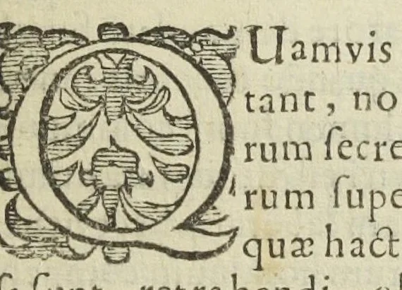 An illustration from Pharmacopoea Spagyrica, sive exacta descriptio, qua ratione ex vegetabilibus, animalibus & mineralibus, modo haud usitato faciliorique, utilia, efficacia, & penetrantia medicamenta fieri praepararique possint. Pars prima[-septima et prima appendix]. In usum afflictissimi generis humani in lucem prolata, per Joannem Rudolphum Glauberum., 1654, leaf 261
