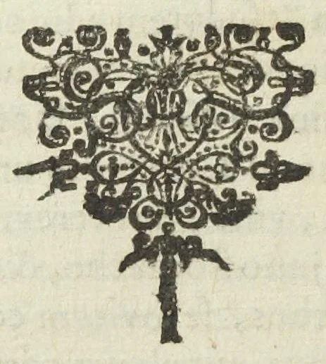 An illustration from Pharmacopoea Spagyrica, sive exacta descriptio, qua ratione ex vegetabilibus, animalibus & mineralibus, modo haud usitato faciliorique, utilia, efficacia, & penetrantia medicamenta fieri praepararique possint. Pars prima[-septima et prima appendix]. In usum afflictissimi generis humani in lucem prolata, per Joannem Rudolphum Glauberum., 1654, leaf 316