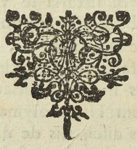 An illustration from Pharmacopoea Spagyrica, sive exacta descriptio, qua ratione ex vegetabilibus, animalibus & mineralibus, modo haud usitato faciliorique, utilia, efficacia, & penetrantia medicamenta fieri praepararique possint. Pars prima[-septima et prima appendix]. In usum afflictissimi generis humani in lucem prolata, per Joannem Rudolphum Glauberum., 1654, leaf 334
