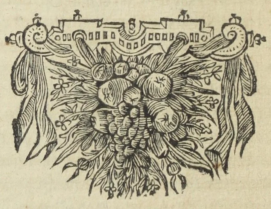 An illustration from Pharmacopoea Spagyrica, sive exacta descriptio, qua ratione ex vegetabilibus, animalibus & mineralibus, modo haud usitato faciliorique, utilia, efficacia, & penetrantia medicamenta fieri praepararique possint. Pars prima[-septima et prima appendix]. In usum afflictissimi generis humani in lucem prolata, per Joannem Rudolphum Glauberum., 1654, leaf 34