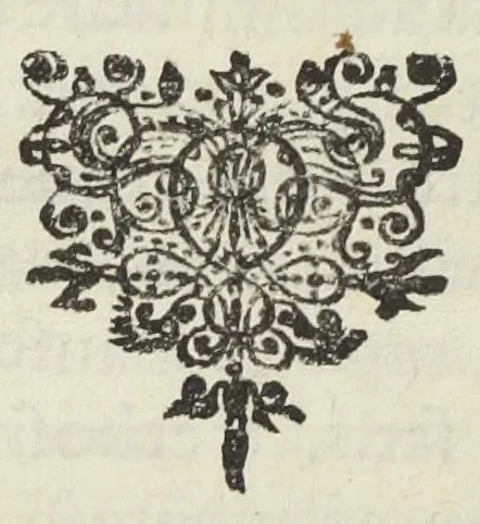 An illustration from Pharmacopoea Spagyrica, sive exacta descriptio, qua ratione ex vegetabilibus, animalibus & mineralibus, modo haud usitato faciliorique, utilia, efficacia, & penetrantia medicamenta fieri praepararique possint. Pars prima[-septima et prima appendix]. In usum afflictissimi generis humani in lucem prolata, per Joannem Rudolphum Glauberum., 1654, leaf 502
