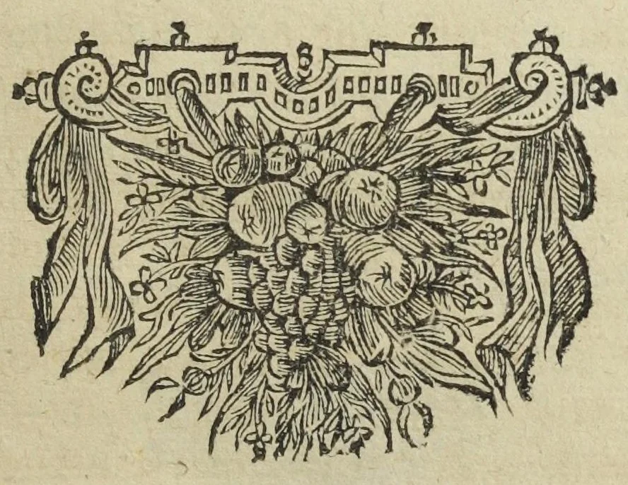 An illustration from Pharmacopoea Spagyrica, sive exacta descriptio, qua ratione ex vegetabilibus, animalibus & mineralibus, modo haud usitato faciliorique, utilia, efficacia, & penetrantia medicamenta fieri praepararique possint. Pars prima[-septima et prima appendix]. In usum afflictissimi generis humani in lucem prolata, per Joannem Rudolphum Glauberum., 1654, leaf 81